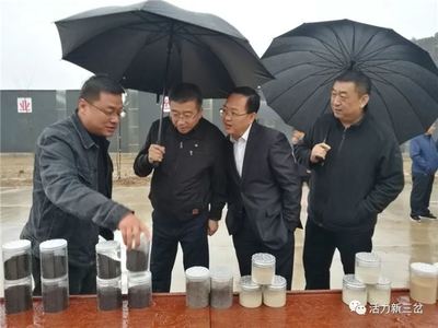 金秋沃野迎硕果,风景这边独好 --黄龙县三岔镇党建暨农业农村现场观摩点侧记